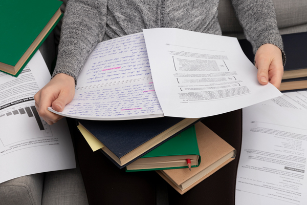 How to Write an Essay: A Beginner's Guide With Examples