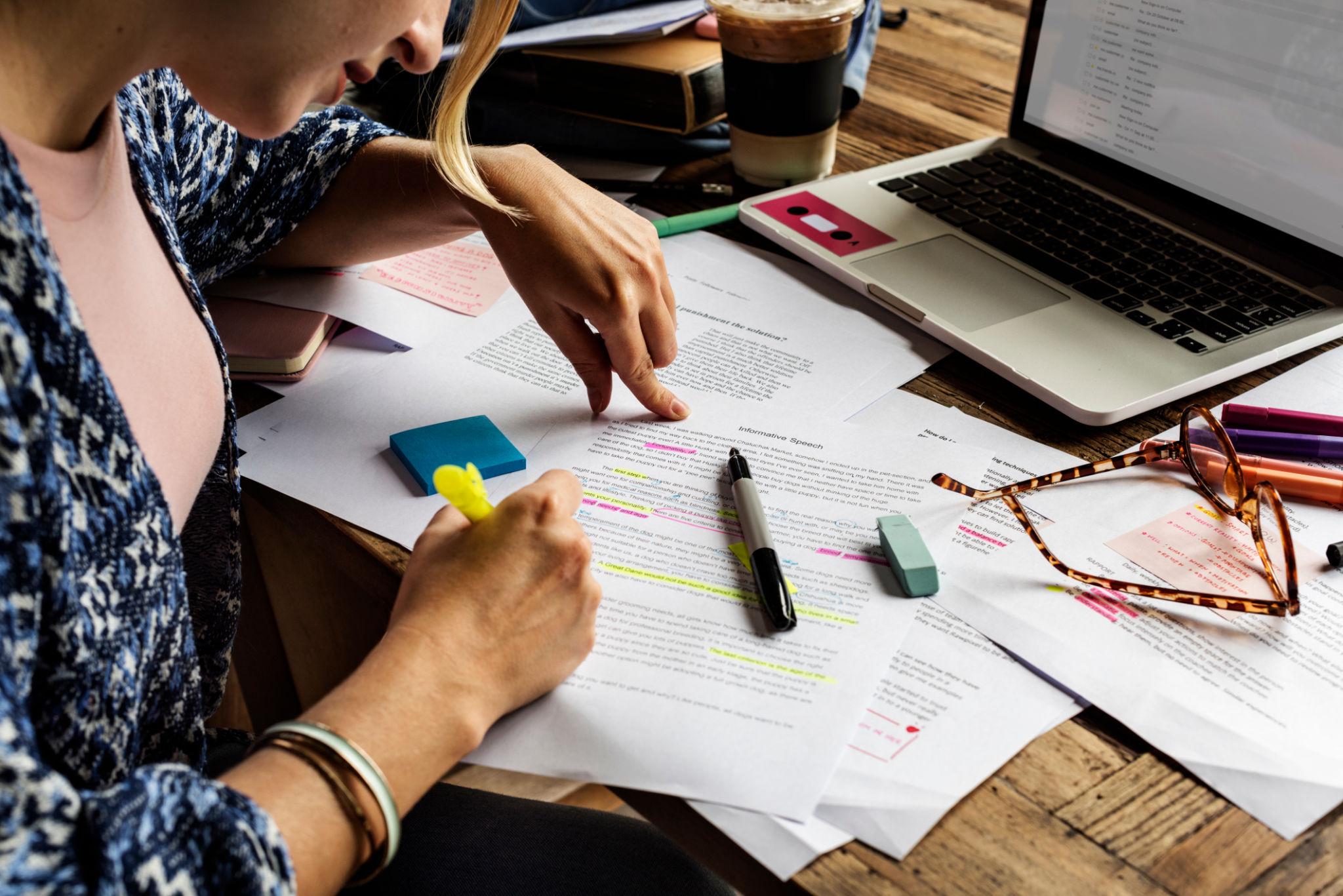 Interim Project Report Writing Service