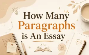 Feature image with a beige and white minimalist design showcasing the title “How Many Paragraphs Is An Essay.” The layout includes notebooks, pens, paper sheets, a coffee cup, and subtle academic illustrations. Warm neutral tones, elegant typography, and educational elements create a clean, inviting visual for students learning essay structure.